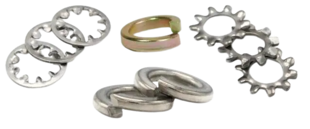 Several different types of lock washers