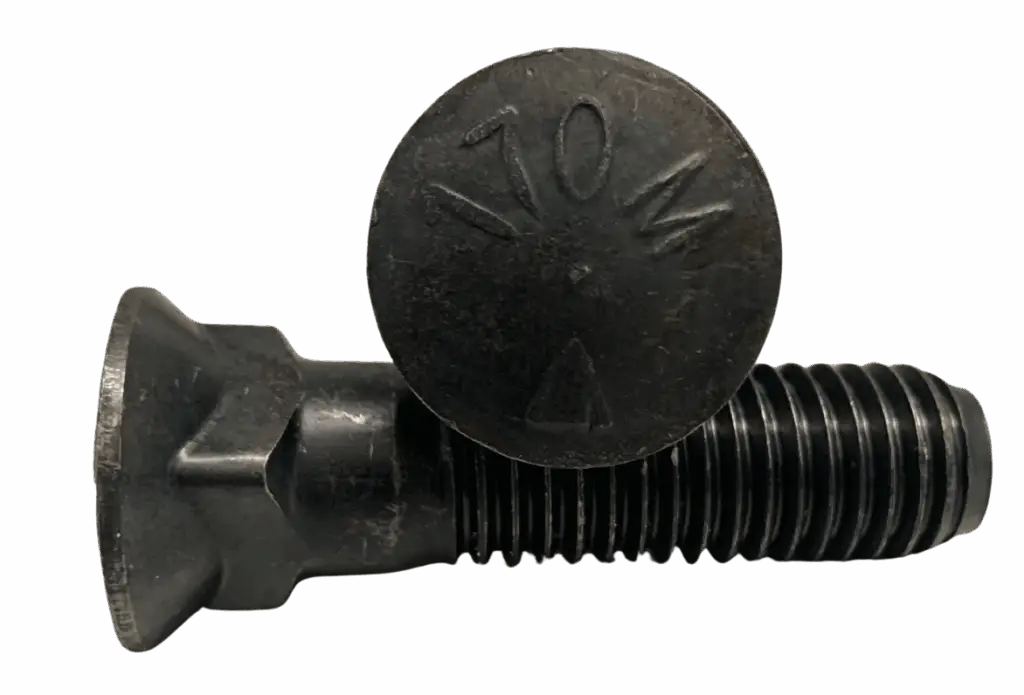 Two scraper blade bolts