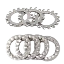 External and internal toothed lock washers